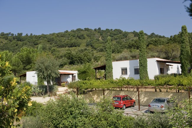 Due edifici bianchi con tetti marroni tra alberi e auto parcheggiate.
