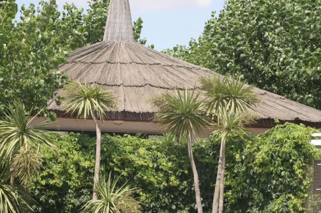Tetto di paglia con alberi e piante verdi attorno.