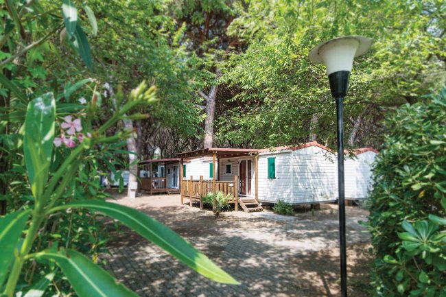 Una casa mobile tra gli alberi con un vialetto lastricato.