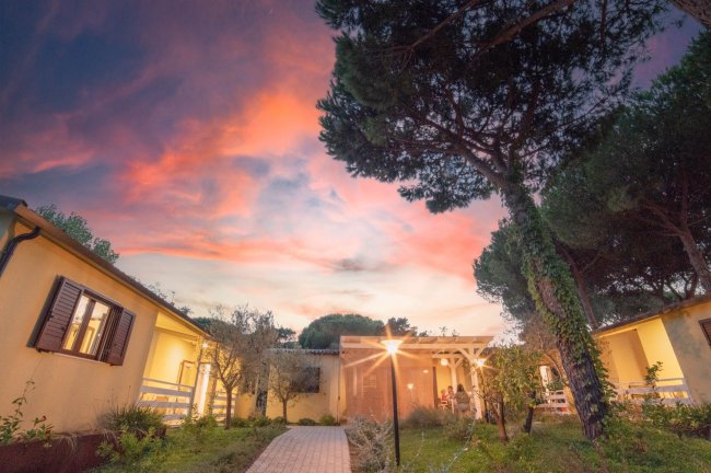 Abitazioni al tramonto con cielo rosa e alberi alti.