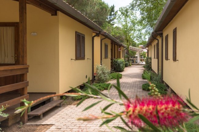 Vialetto tra bungalow gialli con una pianta fiorita in primo piano.