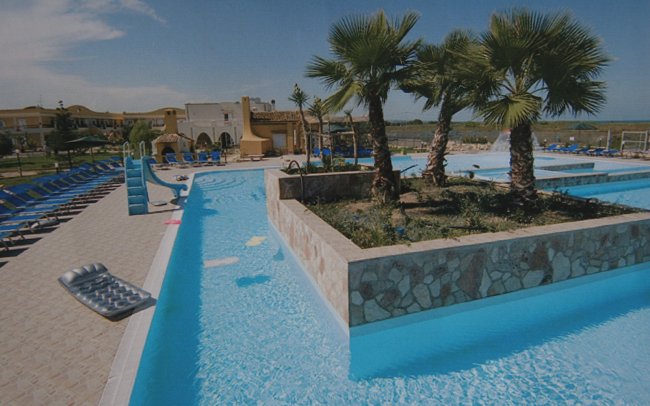 Piscina con area centrale con palme, vista da vicino.