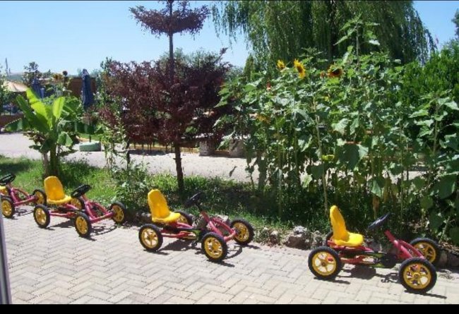 Quattro go-kart per bambini con sedili gialli su un vialetto vicino a piante.