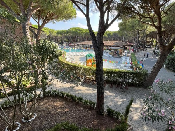 Vista di una piscina con lettini e ombrelloni, circondata da alberi e una siepe.