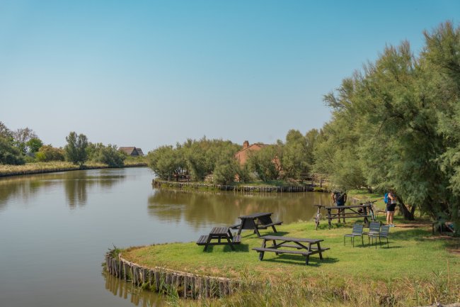 Tavoli da picnic su un prato vicino a un canale circondato da alberi.