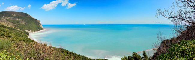 Panorama di una costa con mare turchese e cielo blu, vegetazione in primo piano.