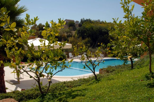 Piscina vista attraverso piante verdi, con colline e cielo azzurro dietro.