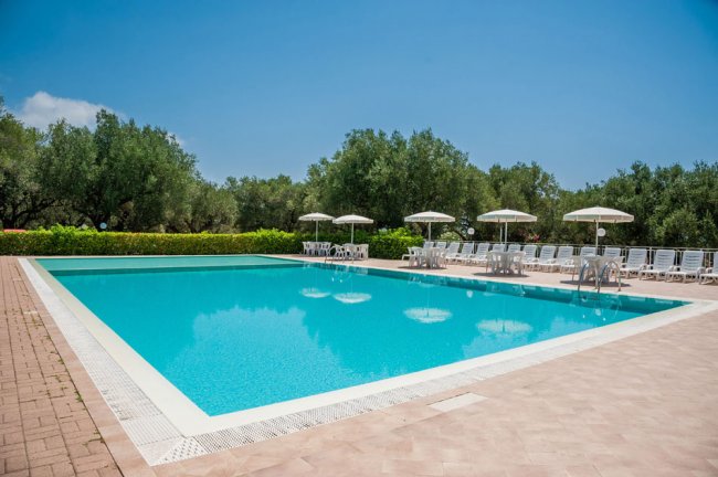Piscina con ombrelloni e lettini bianchi, circondata da alberi verdi e cielo sereno.