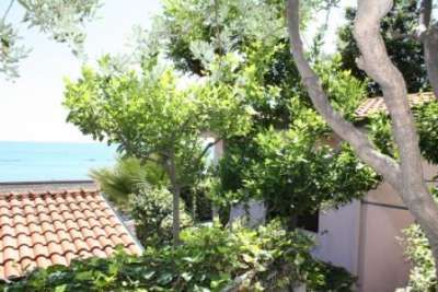 Alberi e tetto in tegole rosse con vista mare.