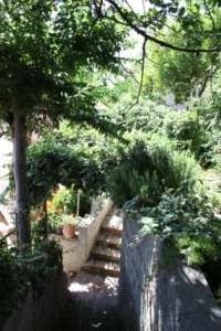 Giardino con scale avvolte da vegetazione lussureggiante.