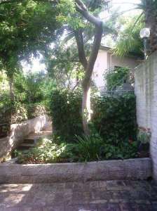 Cortile con piante verdi vicino a un muro bianco e un grande albero.