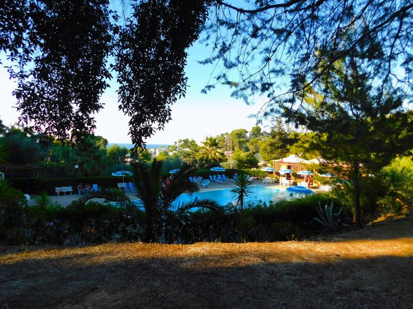 Piscina circondata da alberi e lettini sotto ombrelloni, con vista sul mare.