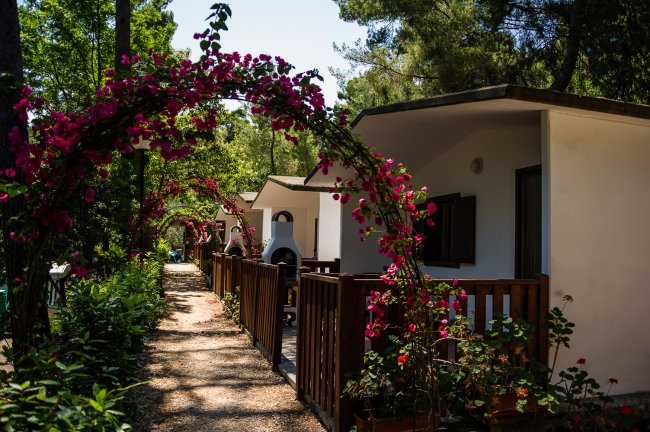 Un vialetto tra bungalow bianchi con archi di bouganville rosa.