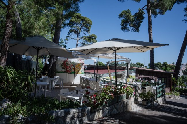 Una terrazza con tavolini e ombrelloni bianchi in un ambiente alberato.