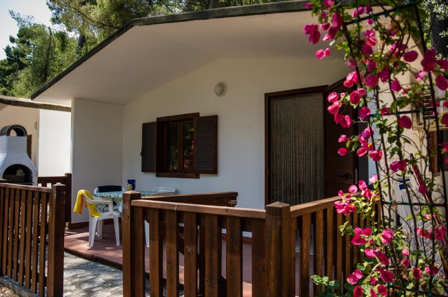 Veranda con staccionata di legno, fioritura rosa e mobili da giardino bianchi.