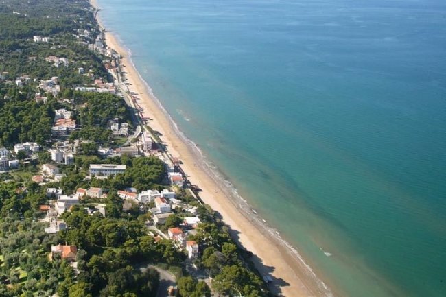 Vista aerea di una costa con spiaggia e edifici verdi.