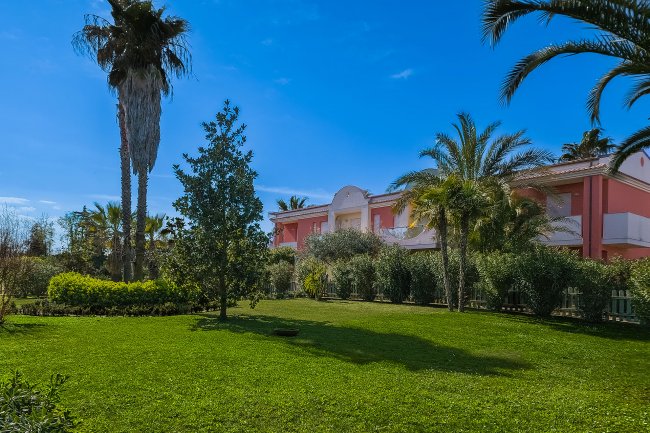 Giardino con palme e edificio rosa.