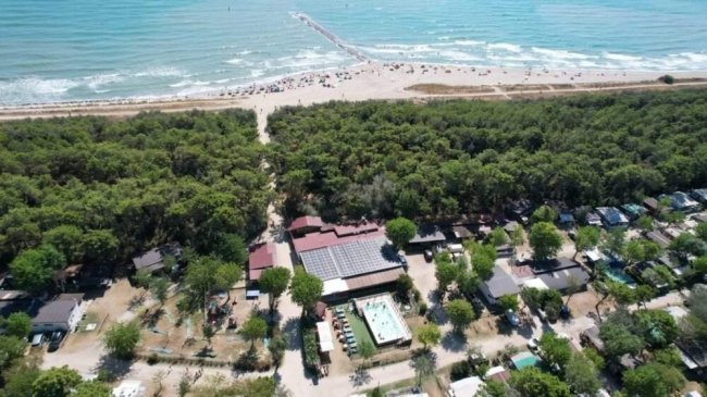 Veduta aerea di un campeggio tra mare e pineta.