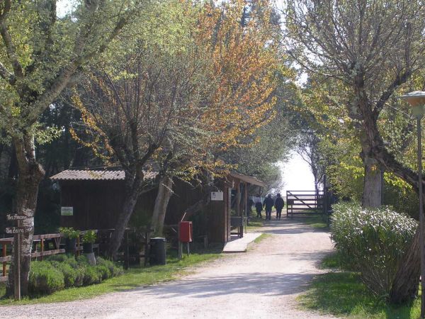 Viale alberato con capanne in legno e persone in lontananza.