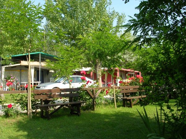 Panchine in un giardino con fiori, alberi e auto parcheggiate.