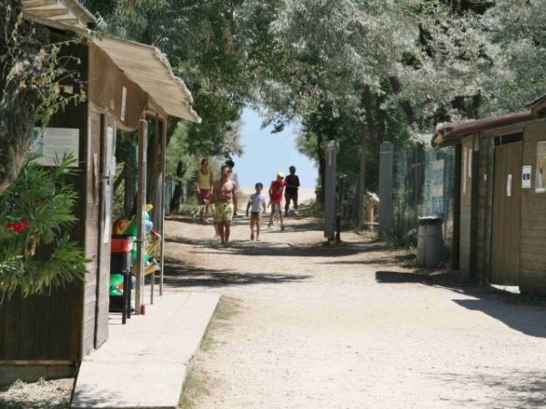 Percorso alberato con persone che camminano verso la spiaggia.
