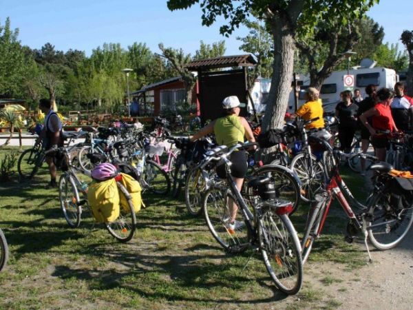 Area all'aperto con ciclisti e biciclette parcheggiate su un prato.
