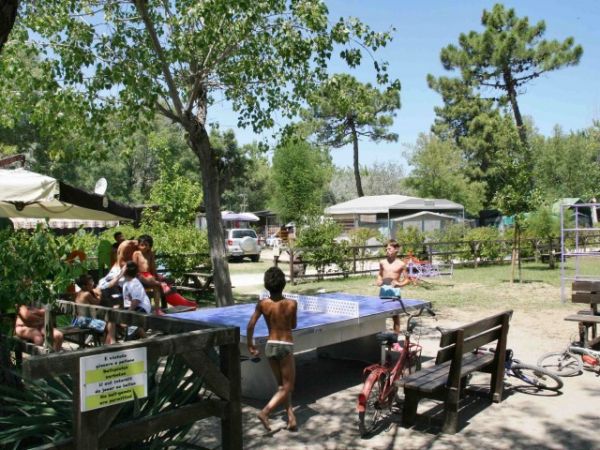 Tavolo da ping pong all'aperto con persone che giocano e socializzano.