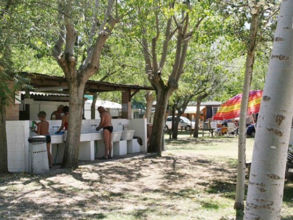 Persone che usano lavandini all'aperto sotto alberi in un campeggio.