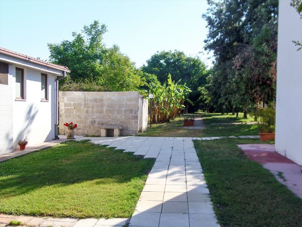 Un sentiero di piastrelle bianche in un giardino verde con muri in pietra e alberi.
