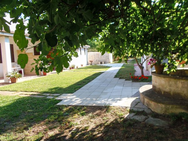 Giardino con un sentiero lastricato circondato da alberi e piante.