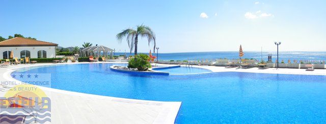 Piscina e palma vicino al mare, cielo limpido e azzurro.