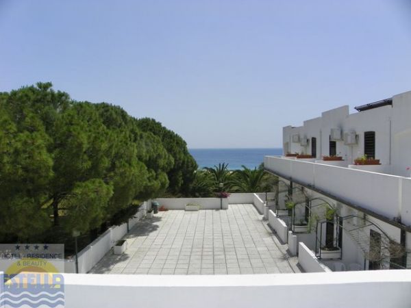 Vista panoramica di un terrazzo con alberi e mare in lontananza.