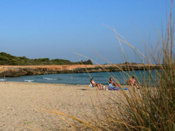 Spiaggia sabbiosa con alcune persone sedute vicino al mare.