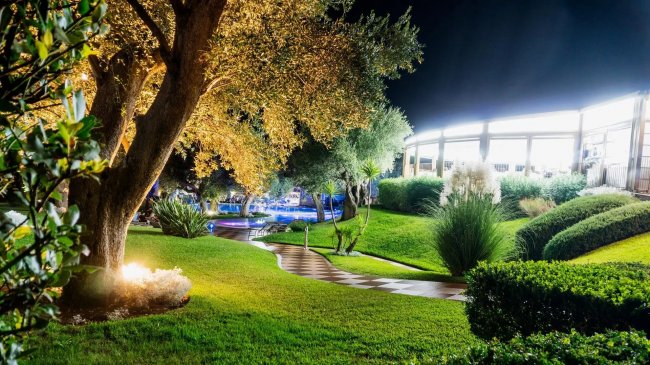 Giardino notturno illuminato con prato e alberi.
