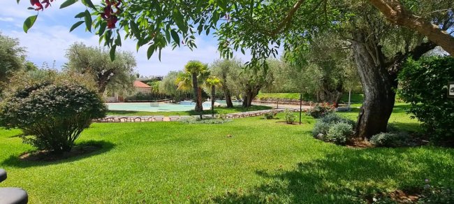 Giardino verde con piscina e alberi.