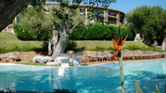 Piscina all'aperto circondata da alberi e vegetazione.