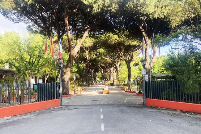 Ingresso di un campeggio con alberi alti e bandiere colorate.