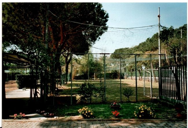 Campo sportivo recintato circondato da alberi e fiori colorati.