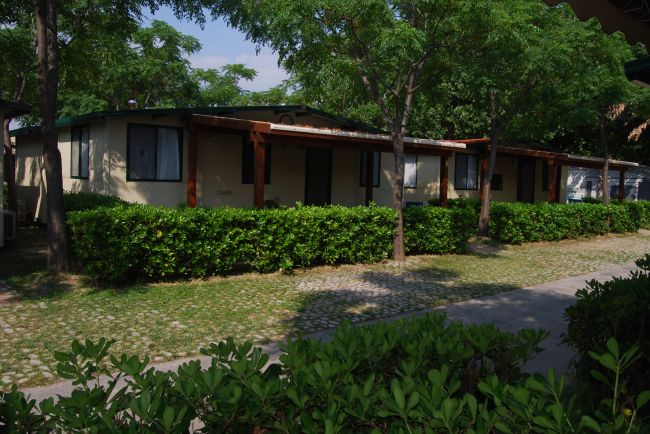 Bungalow con tetto verde incorniciati da siepi e alberi lungo un sentiero ombreggiato.