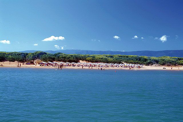 Spiaggia affollata con mare azzurro e vegetazione sullo sfondo sotto un cielo blu.