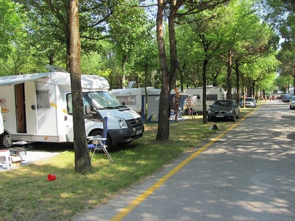 Camper parcheggiati in un'area ombreggiata da numerosi alberi.