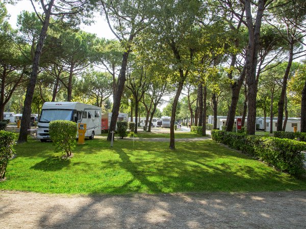 Un'area di sosta per camper in un parco alberato con prato verde.
